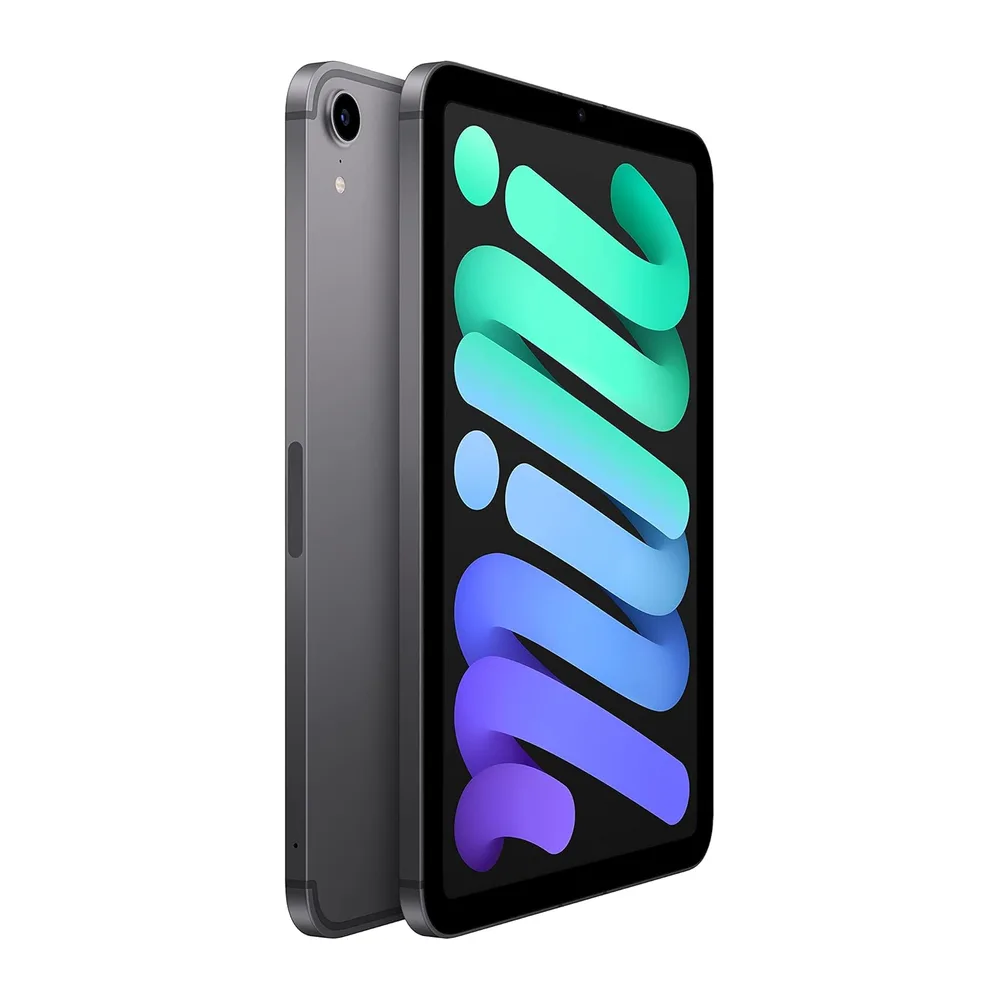 Apple iPad mini (6ª Generazione, 8.3-pollici, 2021), 64GB, Wi-Fi + Cellular, Grigio Siderale (Ricondizionato) — 2