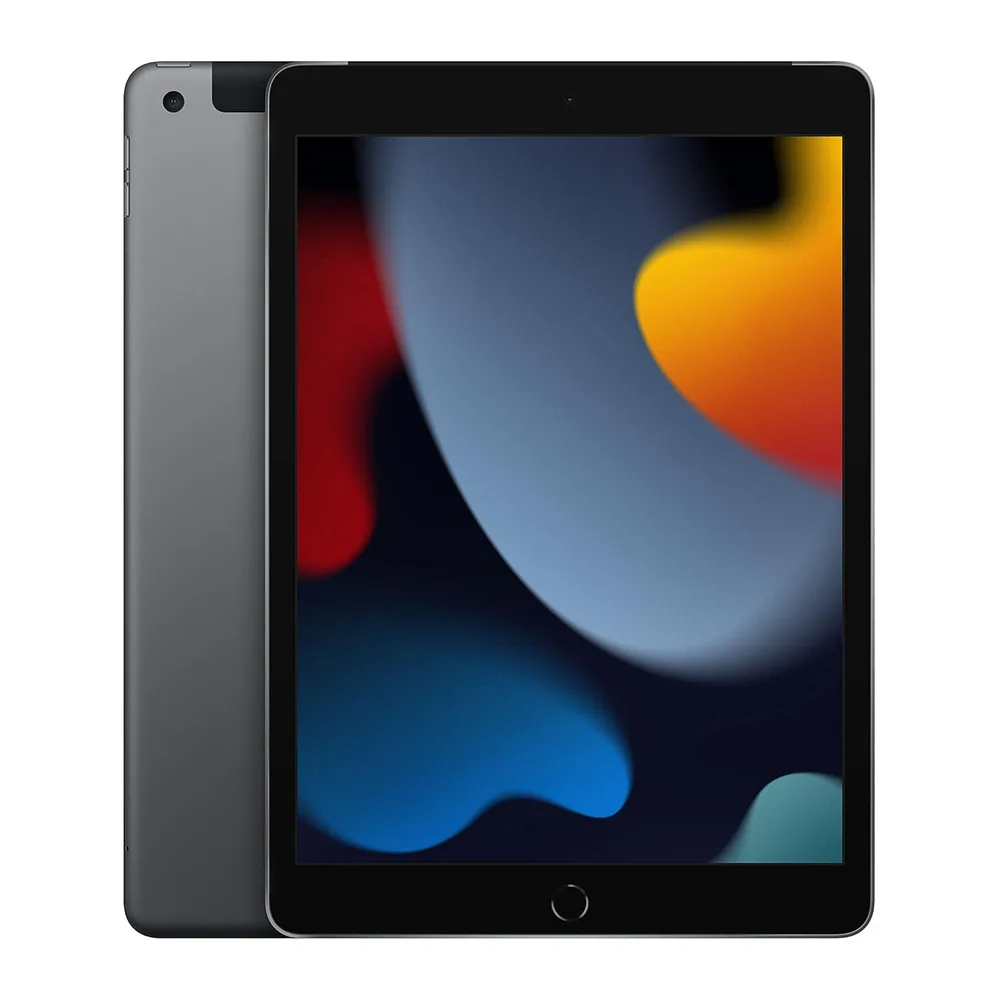 2021 Apple iPad (10,2-pollici, Wi-Fi + Cellulare, 256GB) Grigio Siderale (Ricondizionato)