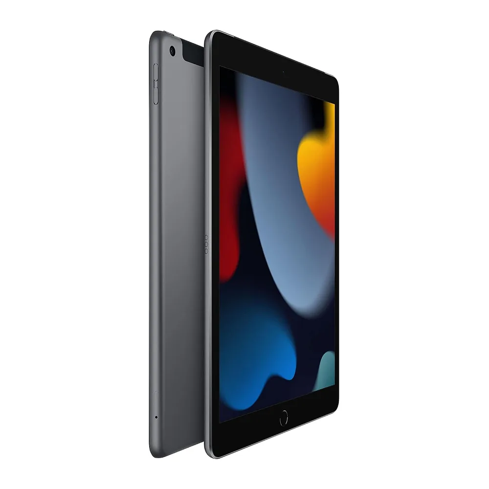 2021 Apple iPad (10,2-pollici, Wi-Fi + Cellulare, 256GB) Grigio Siderale (Ricondizionato) — 2