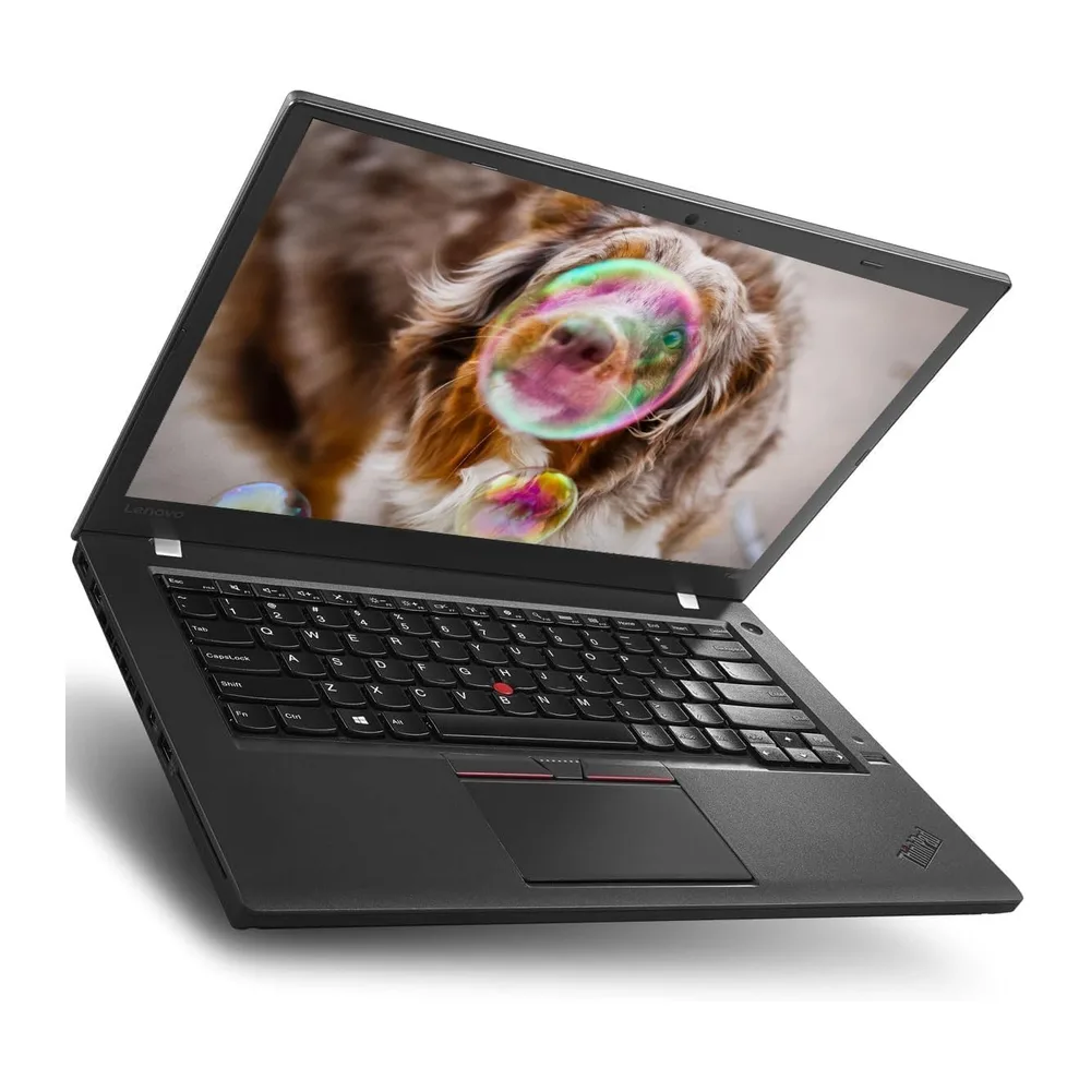 Lenovo ThinkPad T460 Computer portatile professionale