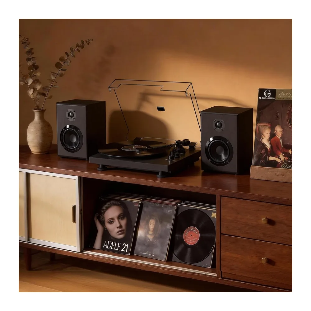Trynnay Giradischi, Lettore con Contrappeso Regolabile, Bluetooth In/Out, 33/45 RPM, Riproduce Dischi in — 6
