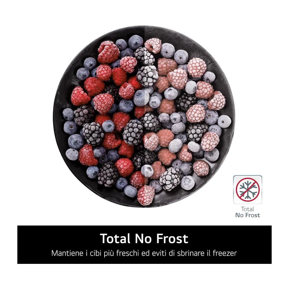 LG GTFN256SER Frigorifero Combinato da Incasso — 3